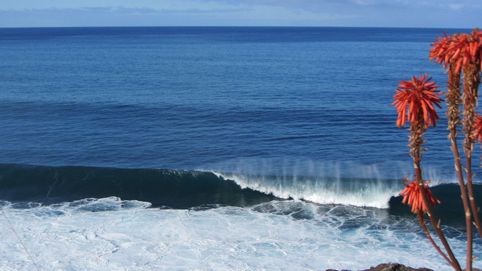 Les vagues de Jardim do Mar, spot de surf