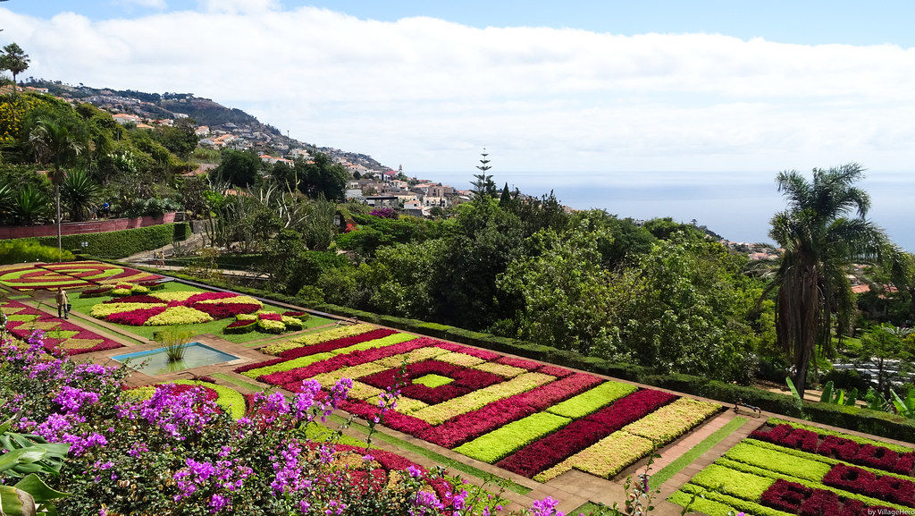 Le jardin botanique de Funchal