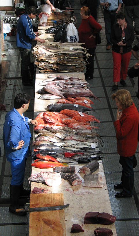 Etalage poisson marché funchal