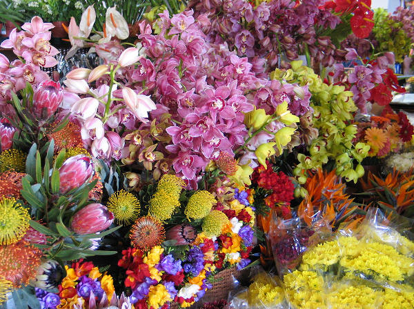 Etalage de fleurs au marché de Funchal