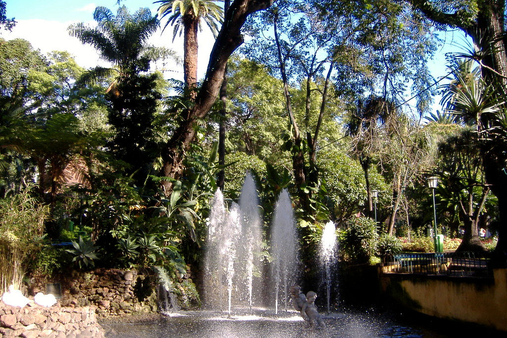 Jardin municipal de Funchal