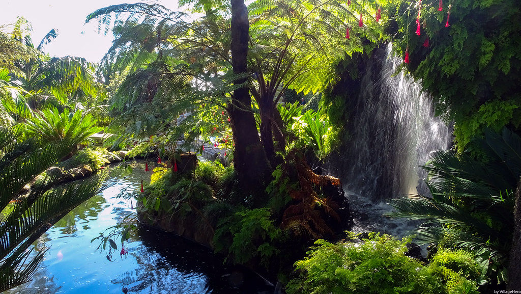 Jardin tropical de Monte Palace, Funchal