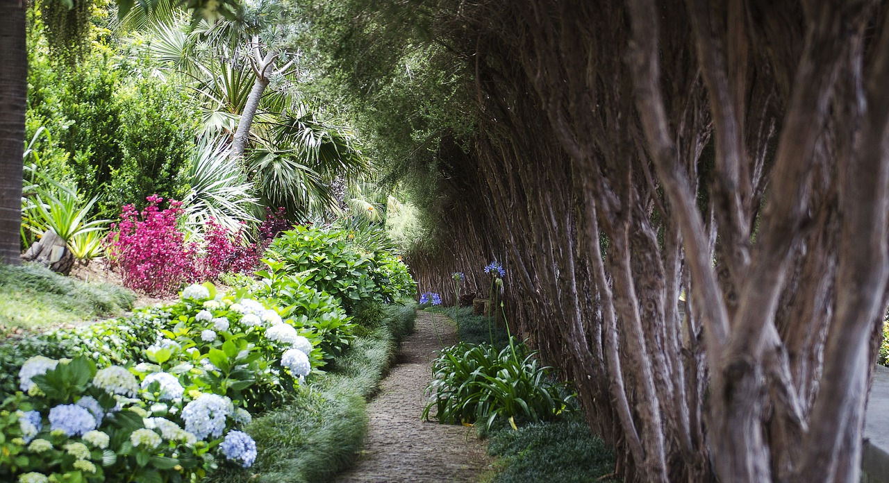 Jardins fleuris de Funchal 