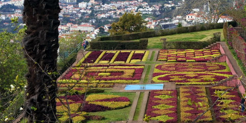 Les jardins de Funchal